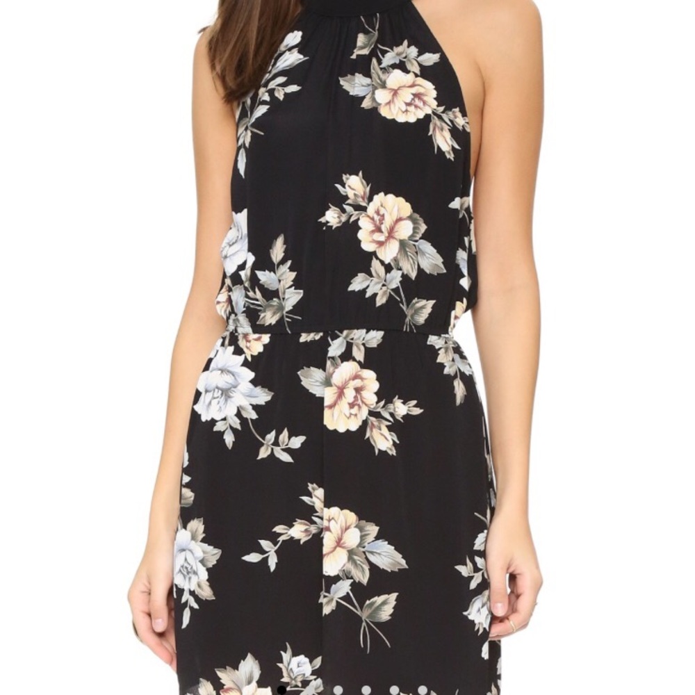 NWOT Flynn Skye Poppy Dress XS